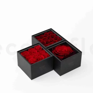 Box of 9 Preserved roses Red