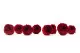 Preserved English Rose Wine Red (set of 8) 4