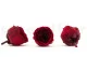 Preserved English Rose Wine Red (set of 8) 2