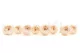 Preserved English Rose White Champagne (set of 8) 4