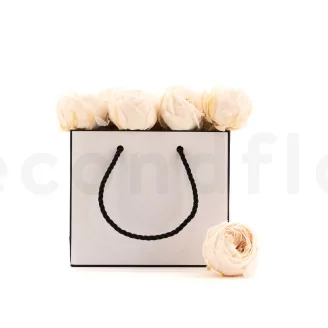 Preserved English Rose White Champagne (set of 8)