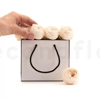 Preserved English Rose White Champagne (set of 8)