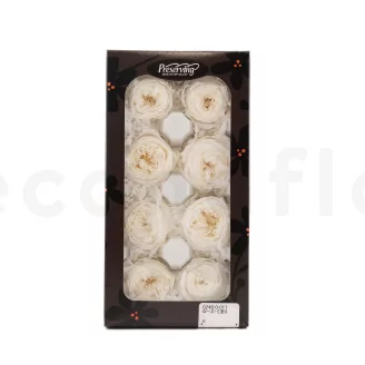 Preserved English Rose White (set of 8)