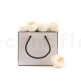 Preserved English Rose White (set of 8)