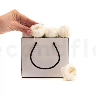 Preserved English Rose White (set of 8)