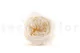 Preserved English Rose White (set of 8) 6