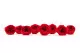 Preserved English Rose Red (set of 8) 4