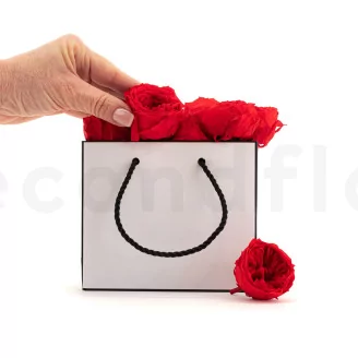 Preserved English Rose Red (set of 8)