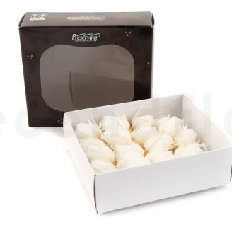 Preserved Rosebud XS White (set of 20)