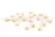 Preserved Rosebud XS White (set of 20) 4