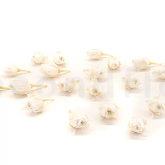 Preserved Rosebud XS White (set of 20)