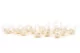 Preserved Rosebud XS White (set of 20) 9