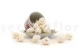 Preserved Rosebud XS White (set of 20) 2