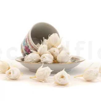 Preserved Rosebud XS White (set of 20)