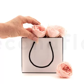 Preserved English Rose Powder Pink (set of 8)