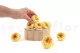 Preserved English Rose Yellow Peach (set of 8) 5
