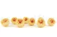 Preserved English Rose Yellow Peach (set of 8) 7