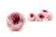Preserved English Rose Light Pink (set of 8) 1