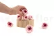 Preserved English Rose Light Pink (set of 8) 6