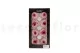 Preserved English Rose Light Pink (set of 8) 8