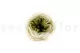 Preserved English Rose Mint Green (set of 8) 7