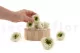 Preserved English Rose Mint Green (set of 8) 6
