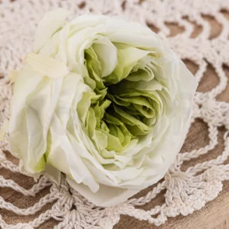Preserved English Rose Mint Green (set of 8)