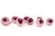 Preserved English Rose Pink (set of 8) 4