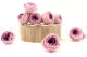 Preserved English Rose Pink (set of 8) 2