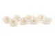 Preserved Rose L Pearl Gem (set of 8) 2