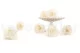 Preserved Rose L Pearl Gem (set of 8) 7