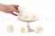Preserved Rose L Pearl Gem (set of 8) 4