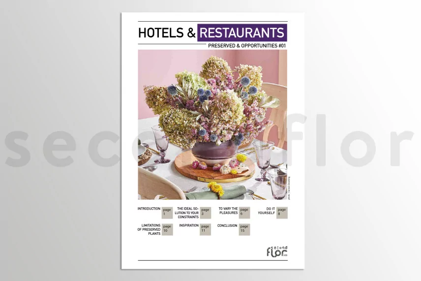 Preserved & Opportunities No. 1: Hotels & Restaurants