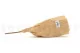 Dried Banksia Hookeriana Old Rose 11