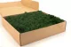 Preserved Reindeer Moss Forest Green (Box) 2