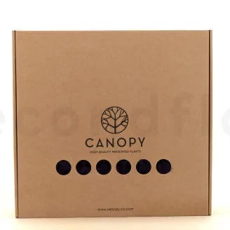 Preserved Reindeer Moss Purple (Box)