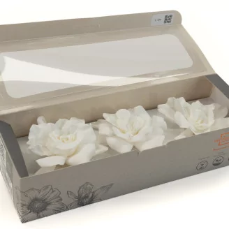 Preserved Gardenia White (set of 3)
