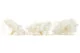 Preserved Gardenia White (set of 3) 4