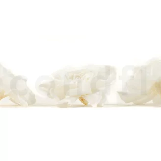Preserved Gardenia White (set of 3)
