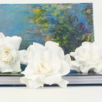 Preserved Gardenia White (set of 3)