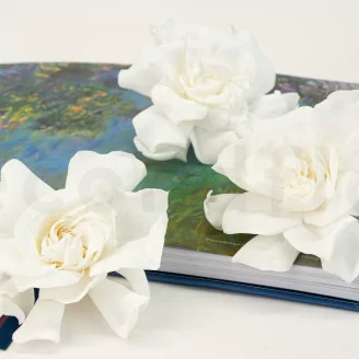 Preserved Gardenia White (set of 3)