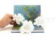 Preserved Gardenia White (set of 3) 7