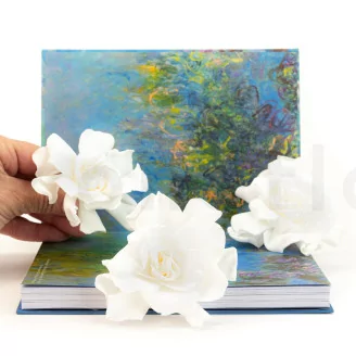 Preserved Gardenia White (set of 3)