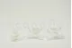 Preserved Cymbidium Orchid White (set of 3) 1