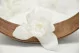 Preserved Cymbidium Orchid White (set of 3) 5