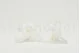Preserved Cymbidium Orchid White (set of 3) 7