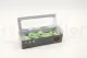 Preserved Cymbidium Orchid Green (set of 3) 4