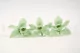 Preserved Cymbidium Orchid Green (set of 3) 2