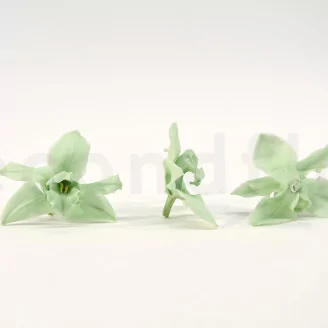 Preserved Cymbidium Orchid Green (set of 3)