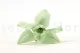 Preserved Cymbidium Orchid Green (set of 3) 5